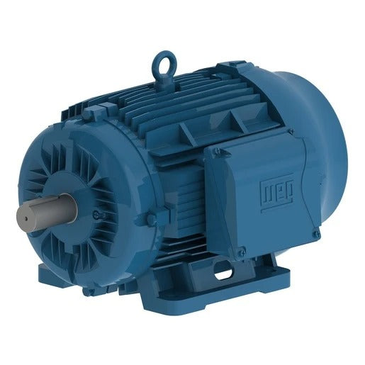01836ET3Y160L-W22 WEG Electric