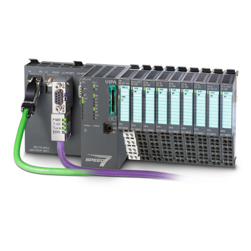 019-CEFPM00 Vipa
