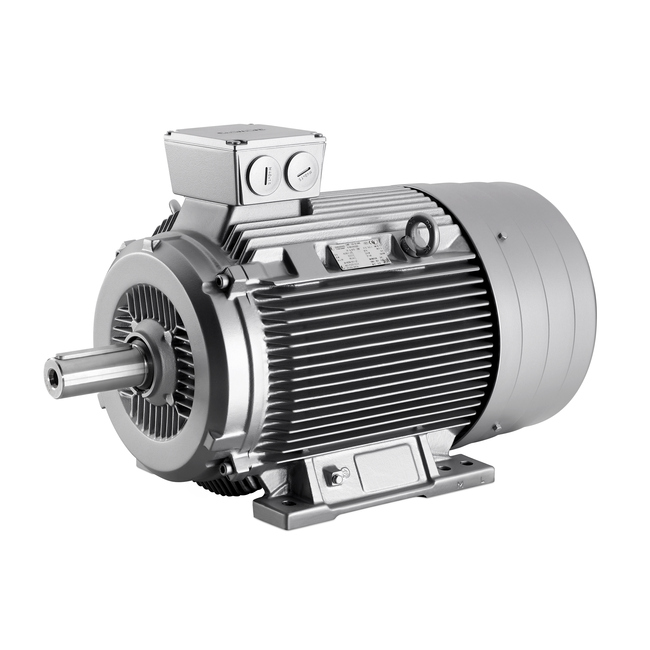 Siemens 1LA70964AA61