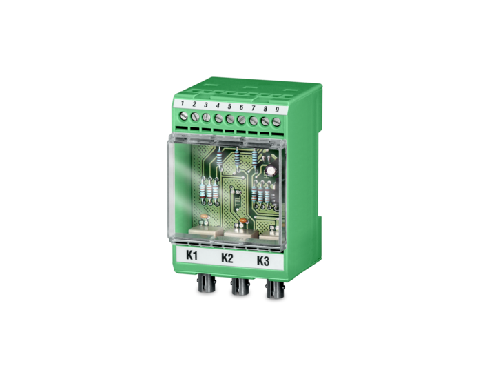 Baumer Electric 11042587