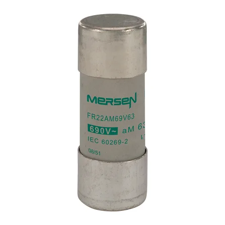FR22AM69V63 Mersen - C215650
