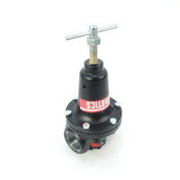 R50N-06G Numatics