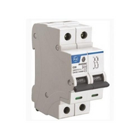 BA20060B L&T - 6A DP 6KA TYPE B MCB