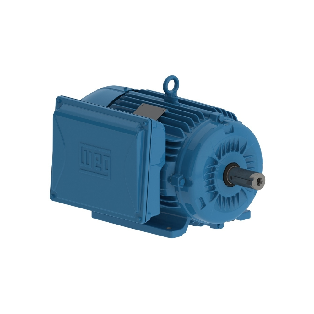 WEG Electric  13797390