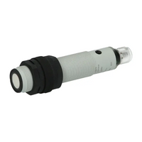 UK1C/G2-0ESY Micro Detectors