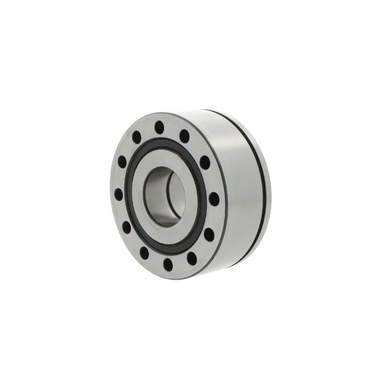 ZKLF1255-2RS-PE INA
