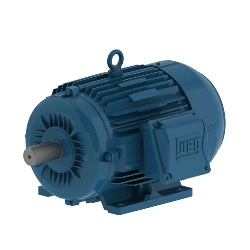 WEG Electric  11802366