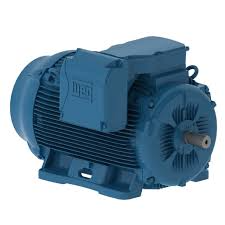 1671532623 WEG Electric