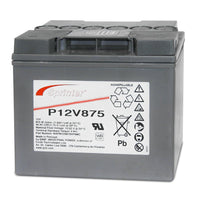 P12V875 Exide