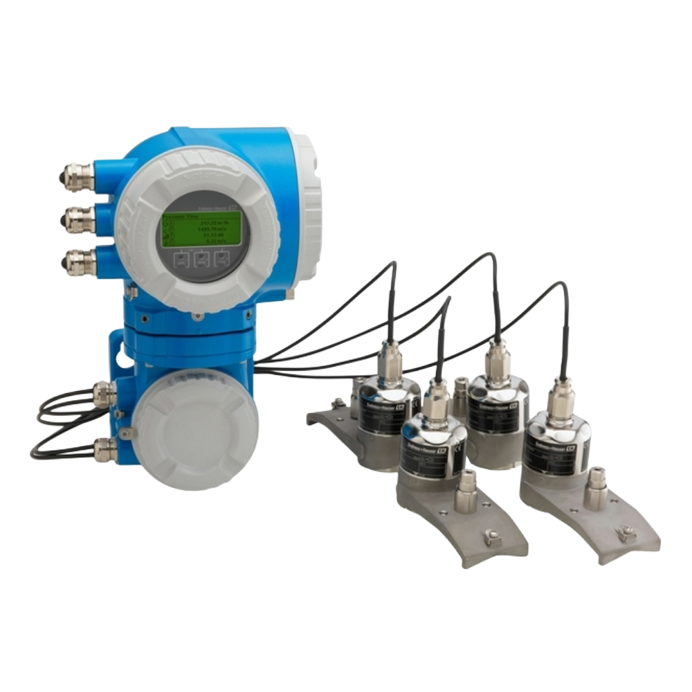 DK9WS-BA Endress + Hauser