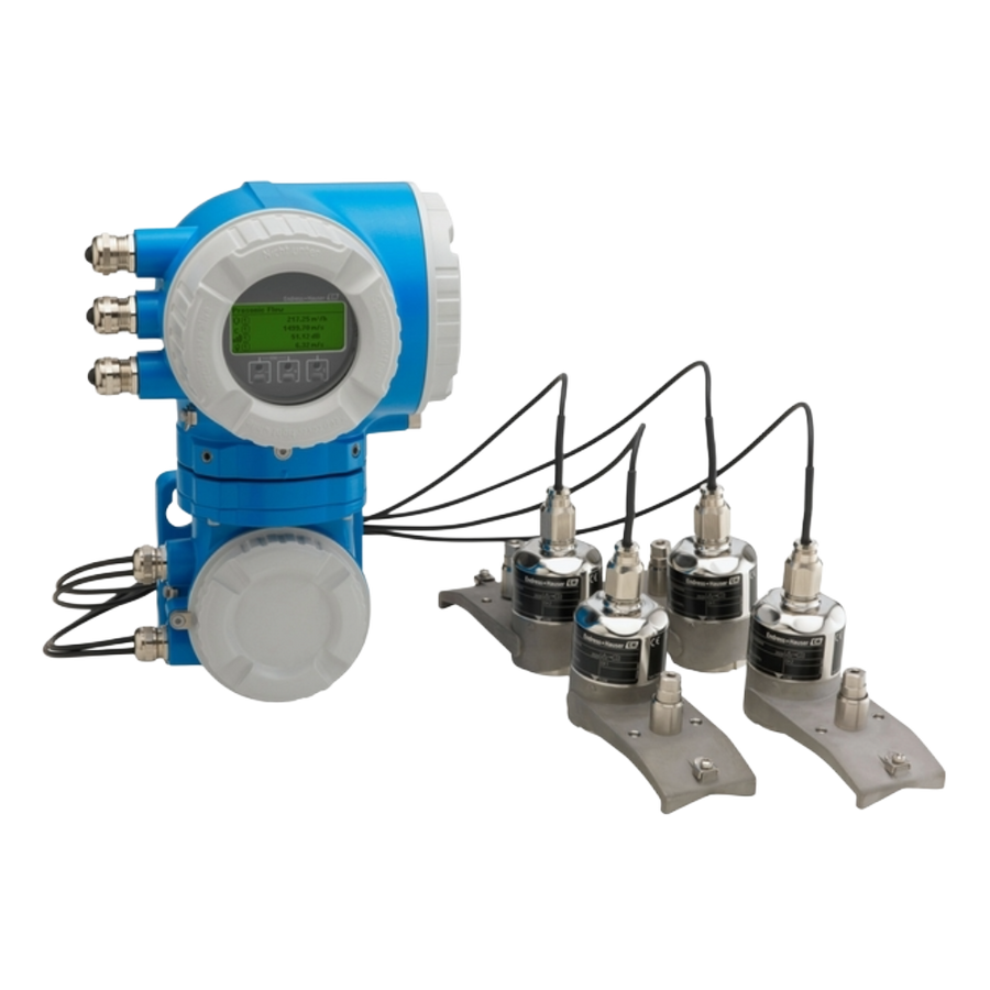 DK9WS-BA Endress + Hauser