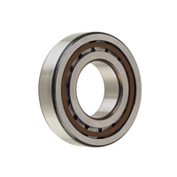 NUP206ECP SKF