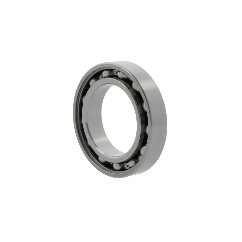 6219-Z SKF