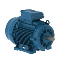 12876272 WEG Electric - W22 IE3 11 kW 4P 160M 3Ph 380-400-415/660-690//460 V 50 Hz IC411 - TEFC - B3T