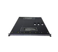 3604E Triconex