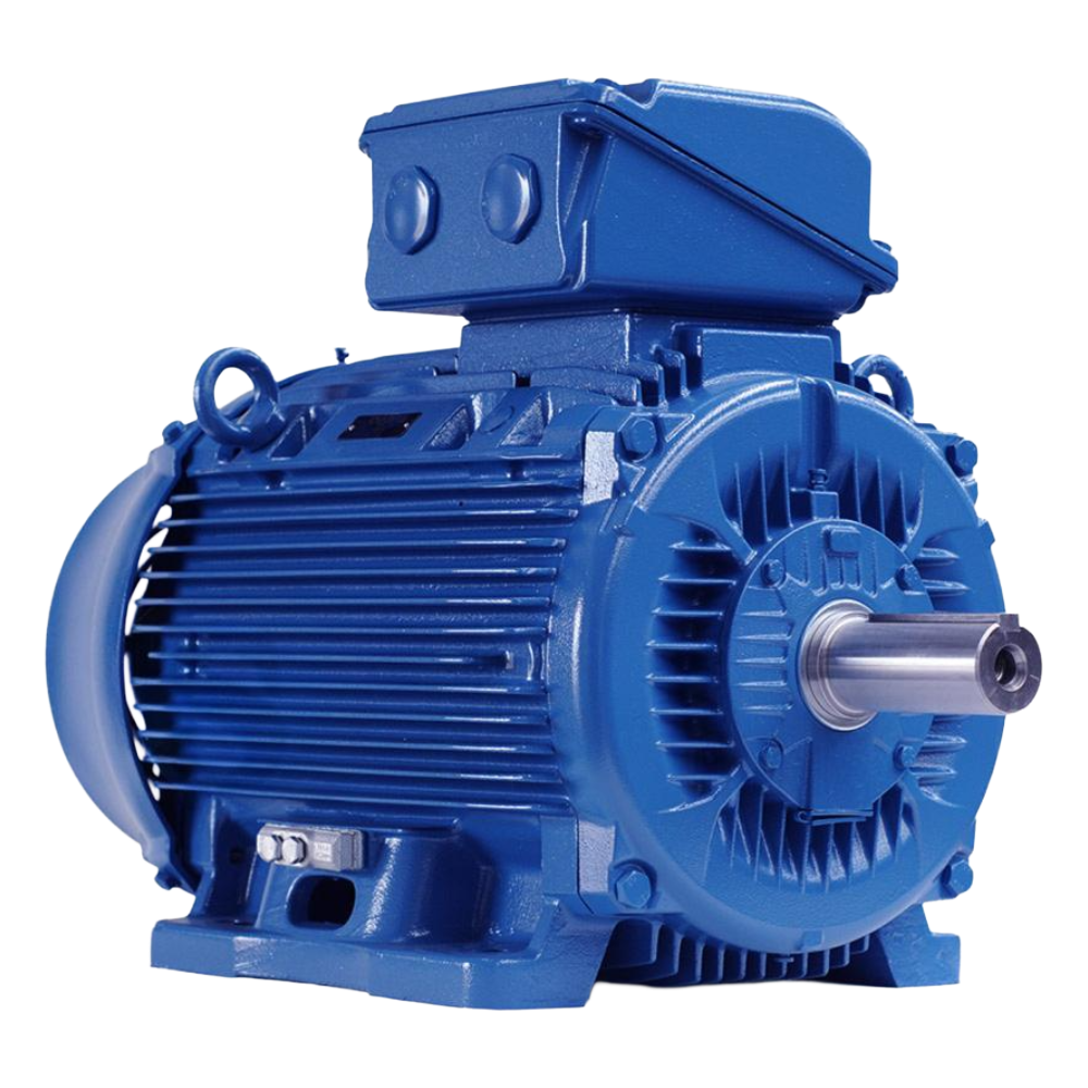 12862522 WEG Electric - W22 IE3