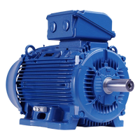 12862522 WEG Electric - W22 IE3