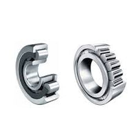 SL045018-PP-2NR Schaeffler