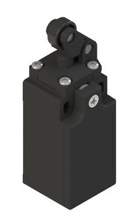 FR 702 Pizzato