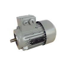 Siemens  1LA70704AB16
