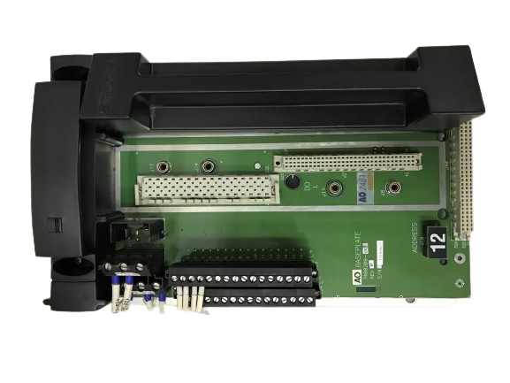 AO2481 Triconex