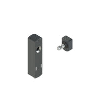 NS D4AZ1SMK-F41 Pizzato