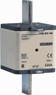 P5GG630-3 Holec