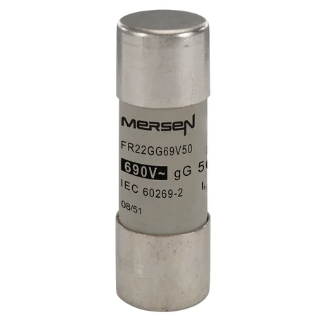FR22GG69V50 Mersen - P214626