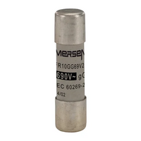 S302788 Mersen - FR10GG69V2