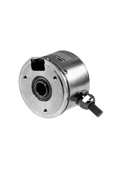 10132355 Baumer Electric - BFF 1G.24K512-L2-9