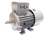 Siemens  1LA70904AA10