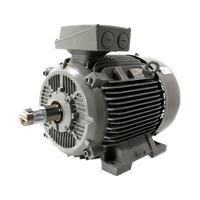 Siemens  1LE15031AB590FB4Z