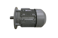 Siemens  1LA71664AA61ZK52