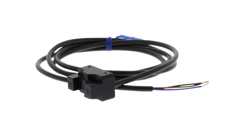 EE-SPX613 1M Omron