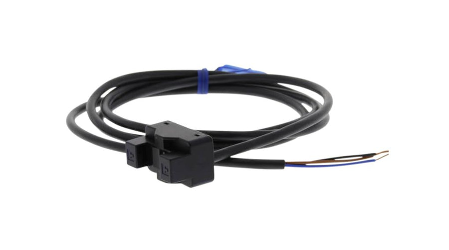 EE-SPX613 1M Omron