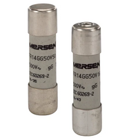 W216656 Mersen - FR14GG50V32