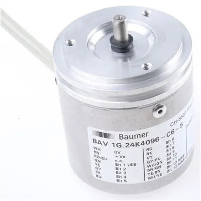 Baumer Electric  BAV1G24K4096C65