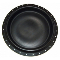2N126902202 Fisher