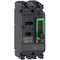 C10F2TM100 Schneider Electric