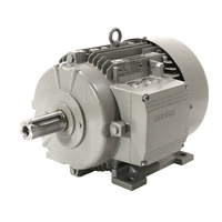 Siemens  1LG01334AA7Z
