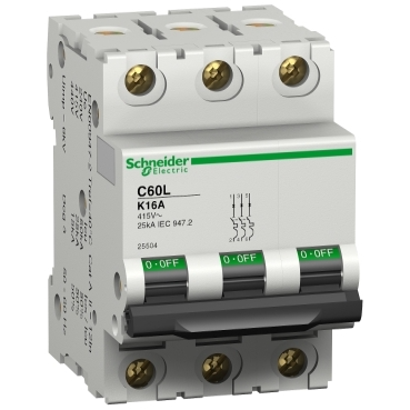 Schneider Electric  25496