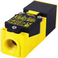 42241 Turck - BI15-CP40-FDZ30X2/S10