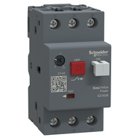 GZ1E08 Schneider Electric