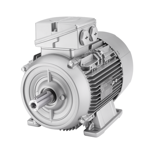 Siemens  1LA91662LA61