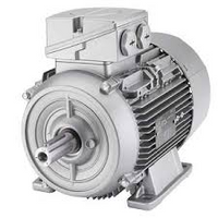 1LE1003-0EC02-2FA4 Siemens