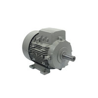 Siemens  1LA71306AA10
