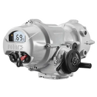 IQT250 Rotork
