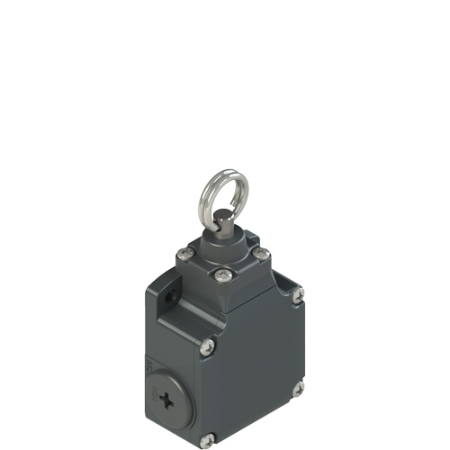 FL 576 Pizzato