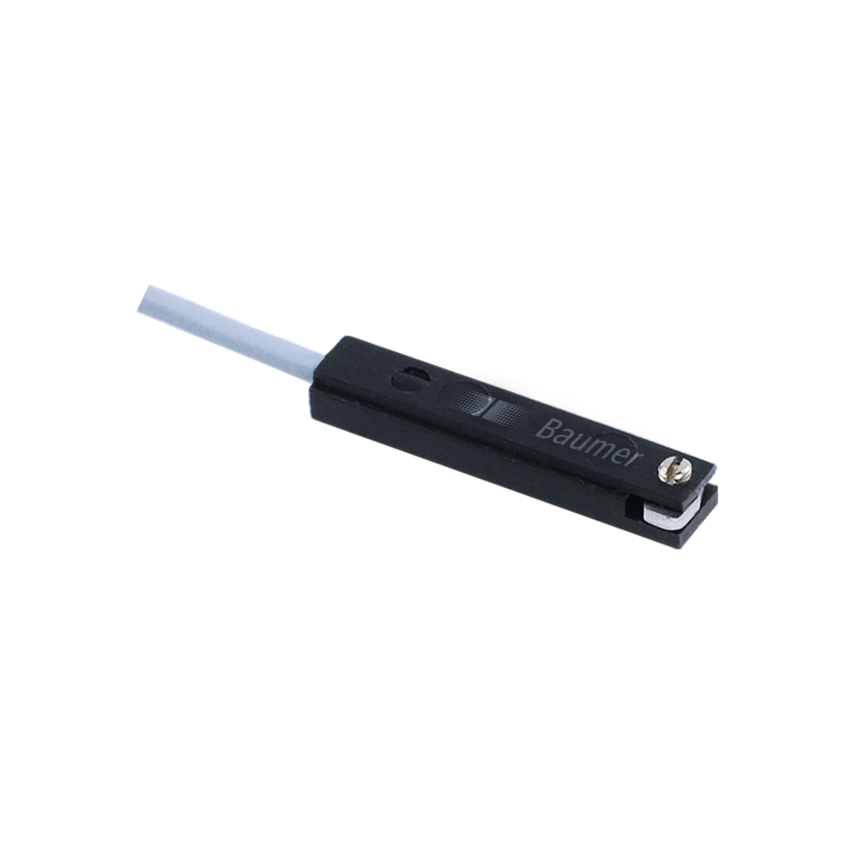 Baumer Electric  11018089