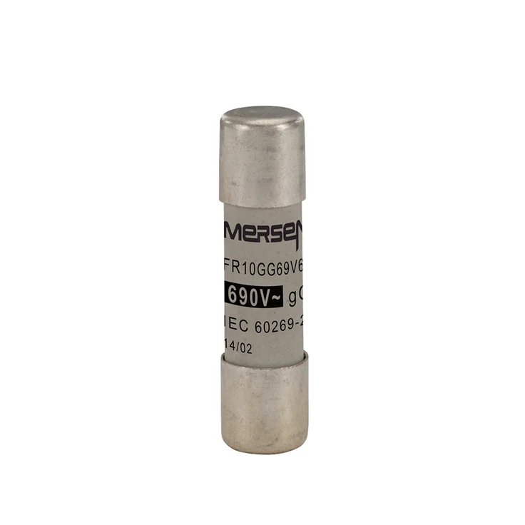 V302790 Mersen - FR10GG69V6